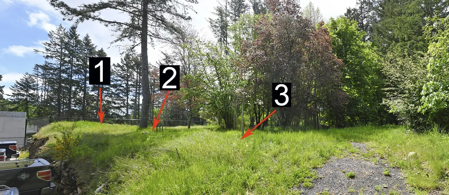 View of the site and potential siting options.