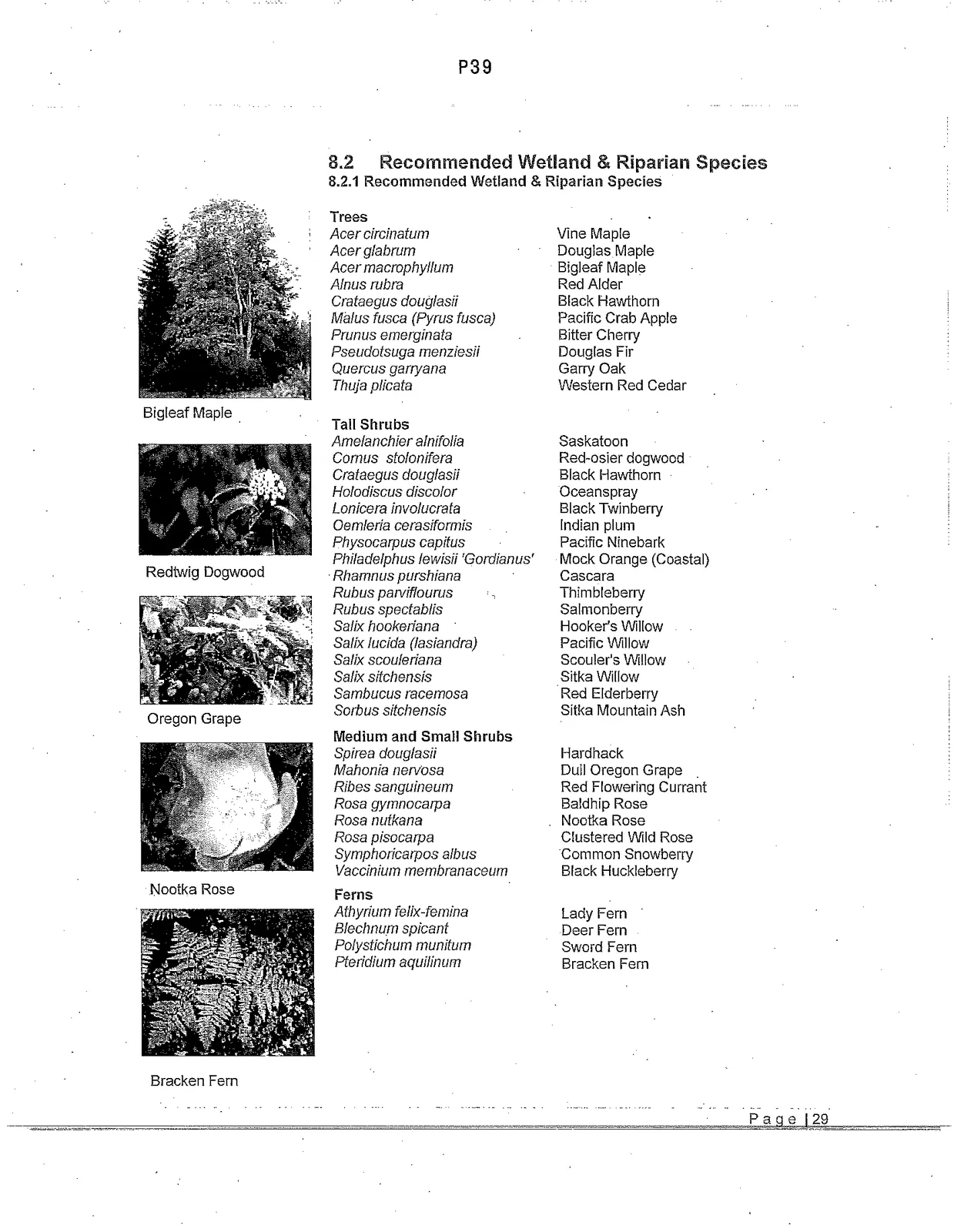 Map 8: Secondary Trails