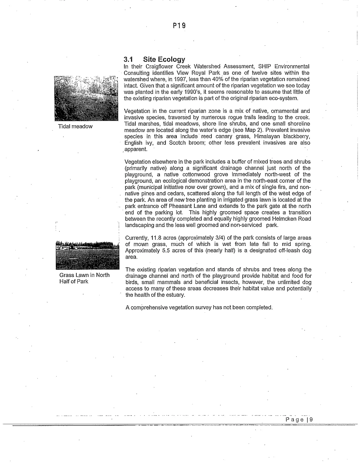 Central Drainage Channel