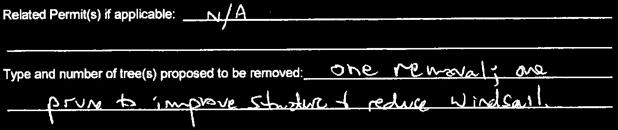 Form section showing related permits and tree removal details