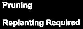 Office Use section for pruning and replanting status