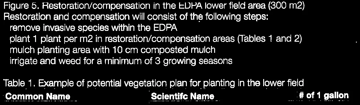 Figure 4. Photograph showing vegetation changes and soil deposition in EDPA in lower field.
