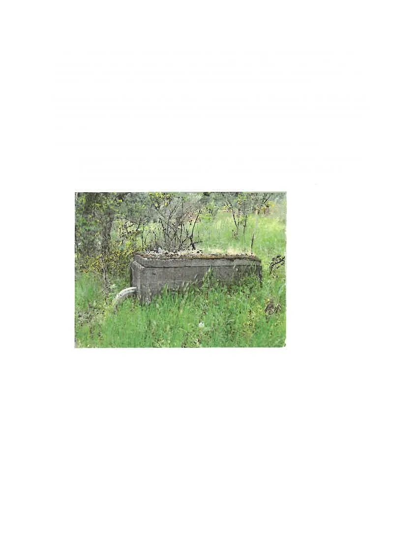Photo of the old partially above-ground septic tank/cistern