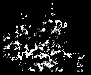 Rendering of trees and landscape detail