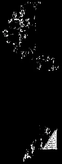 Rendering of trees and landscape detail