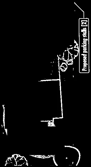Detail of trees and foliage from landscape plan