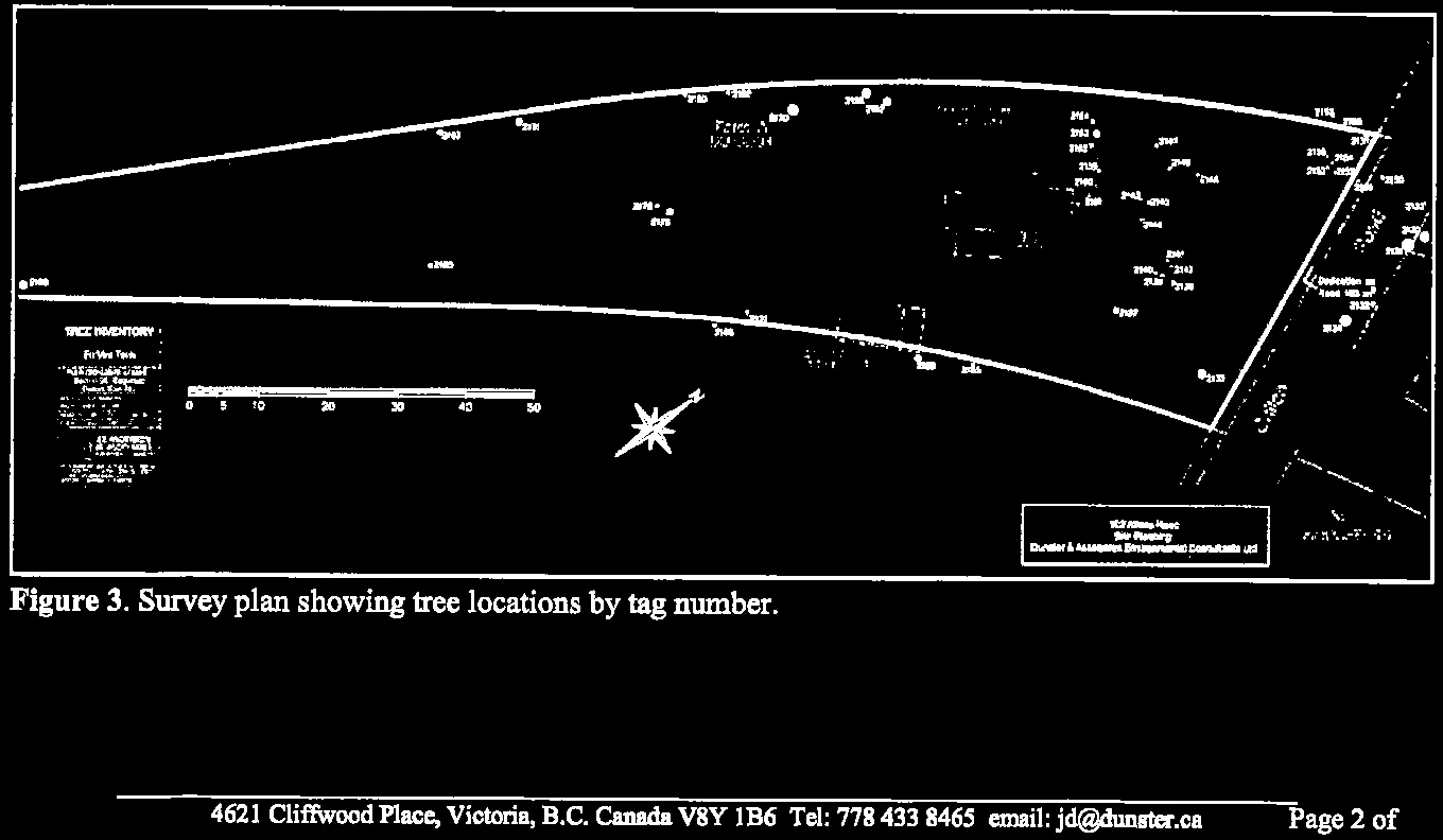 Figure 3. Survey plan showing tree locations by tag number