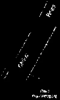 survey plan detail