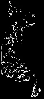 High-contrast, black and white detail image showing a vertical section of the wall assembly.