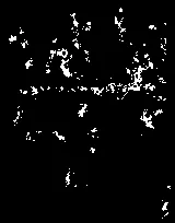 High-contrast, black and white detail image showing a section of the wall assembly.