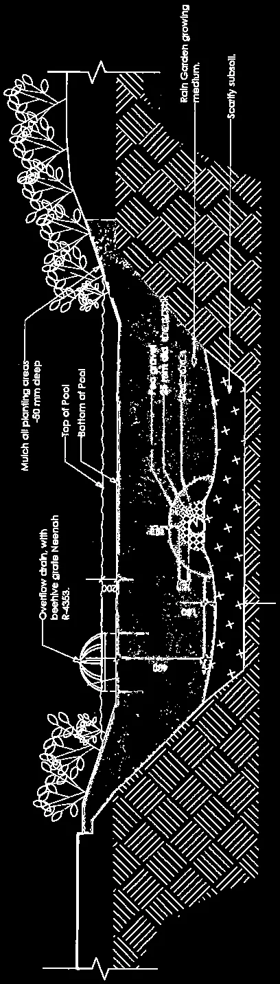 Rain Garden detail section