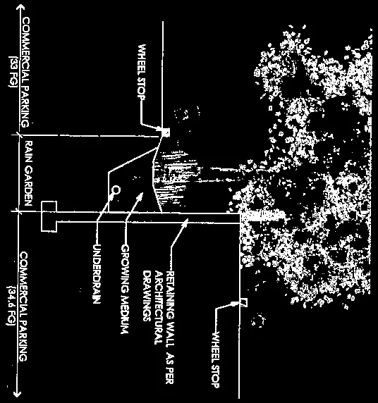Cross-section detail of the rain garden adjacent to commercial parking