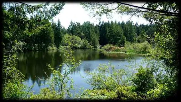 Shoreline view of Mary Lake viewed through surrounding trees