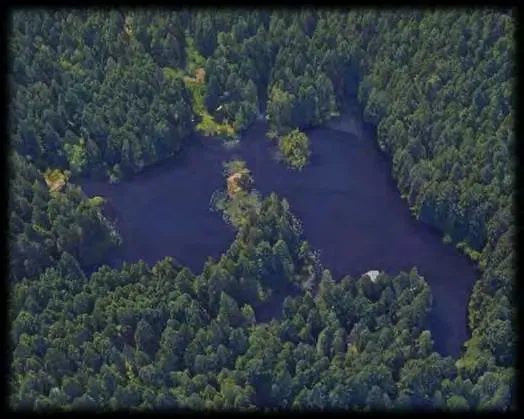 Aerial view of Mary Lake surrounded by a dense evergreen forest