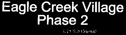 Project title