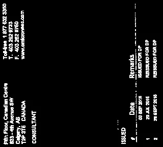 Detail of consultant contact information and issuance history table