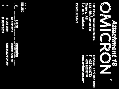 Revision history table and consultant contact information for Omicron.