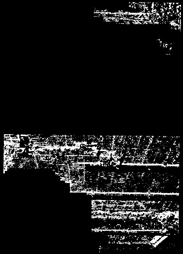 Precedent image for Cable Screens on Walls for Vines