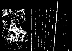 Precedent image for Cable Screens on Walls for Vines