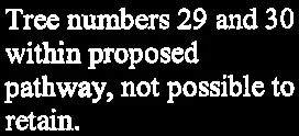 Label for tree numbers 29 and 30 within proposed pathway, not possible to retain