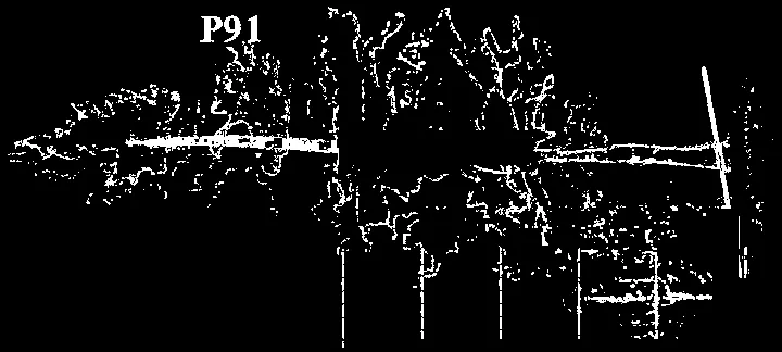 Detailed plan of the second floor with suites 201-215 and Type 1 through Type 6 floor plan diagrams