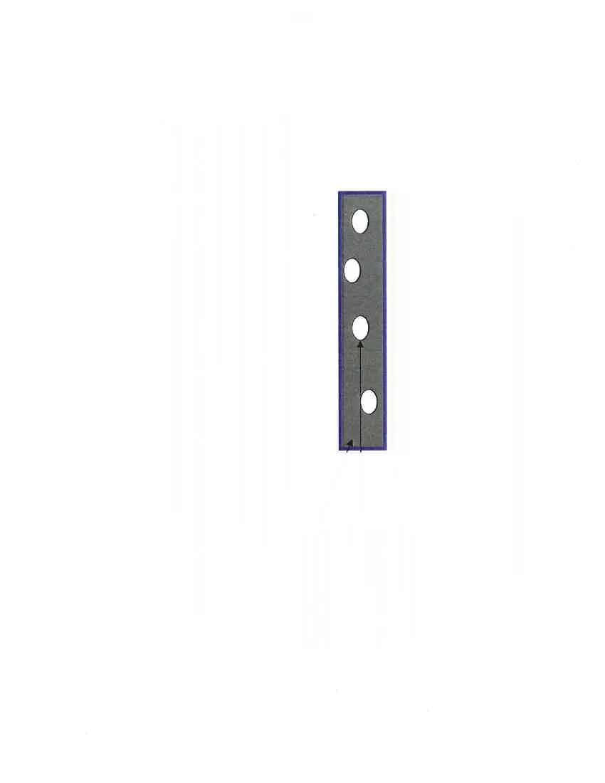 Diagram of driveway or sidewalk with pavers crossing over Critical Root Zone