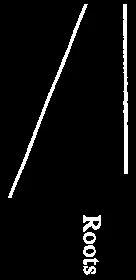 Cross-section detail showing roots beneath pavers and geotextile fabric