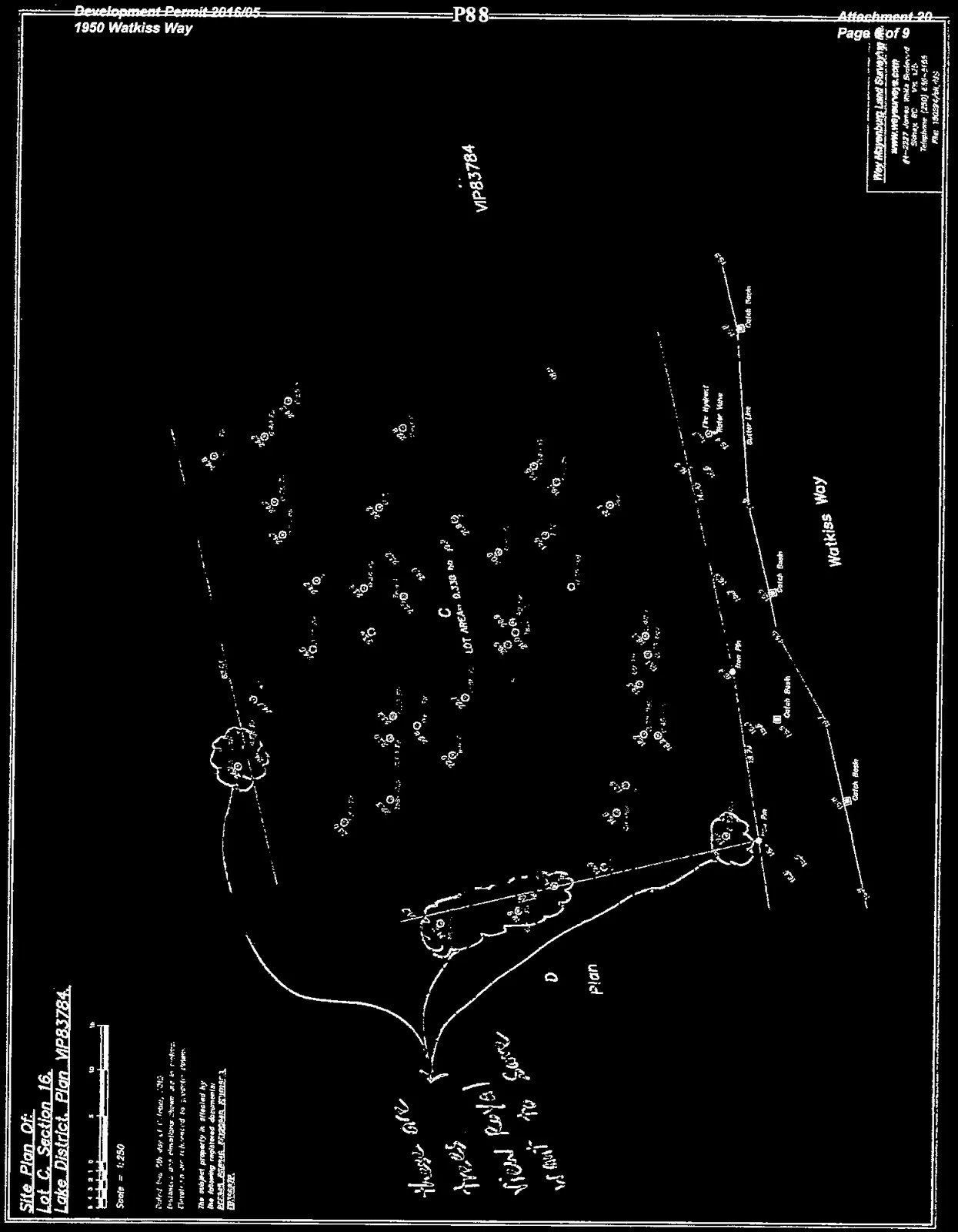 High-contrast site plan showing tree locations, critical root zones, and property features
