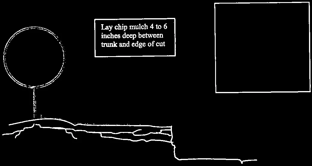 Technical diagram illustrating the installation of a root curtain and application of mulch at a cut soil edge