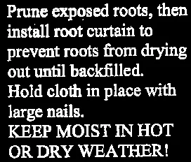 Detail view of the instructional text box for root curtain installation