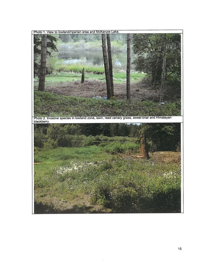 Photo 1. View to lowland/riparian area and McKenzie Lake.