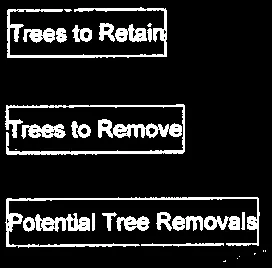 Map Legend for Site Plan Mark-Up showing symbols for tree status and protection measures