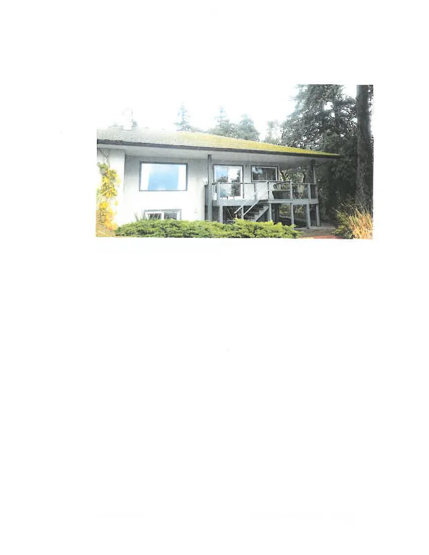 Photo 3. Looking north from the southwest corner of the property.