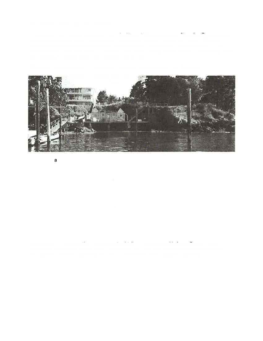 Photo of foreshore structures as they appear from the water