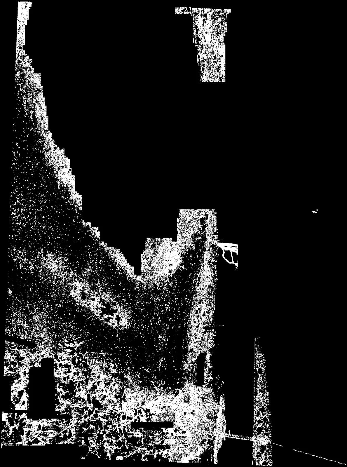 Detail fragment of property landscaping