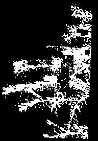 High-contrast rendering of the residence side photo