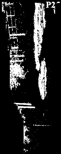 High-contrast rendering of the rocky outcrop photo