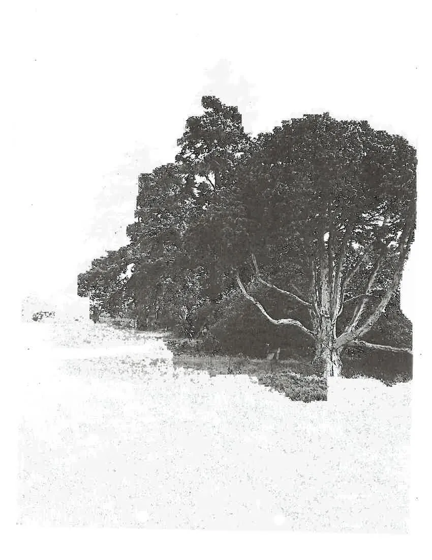 Detail fragment of the residence side photo