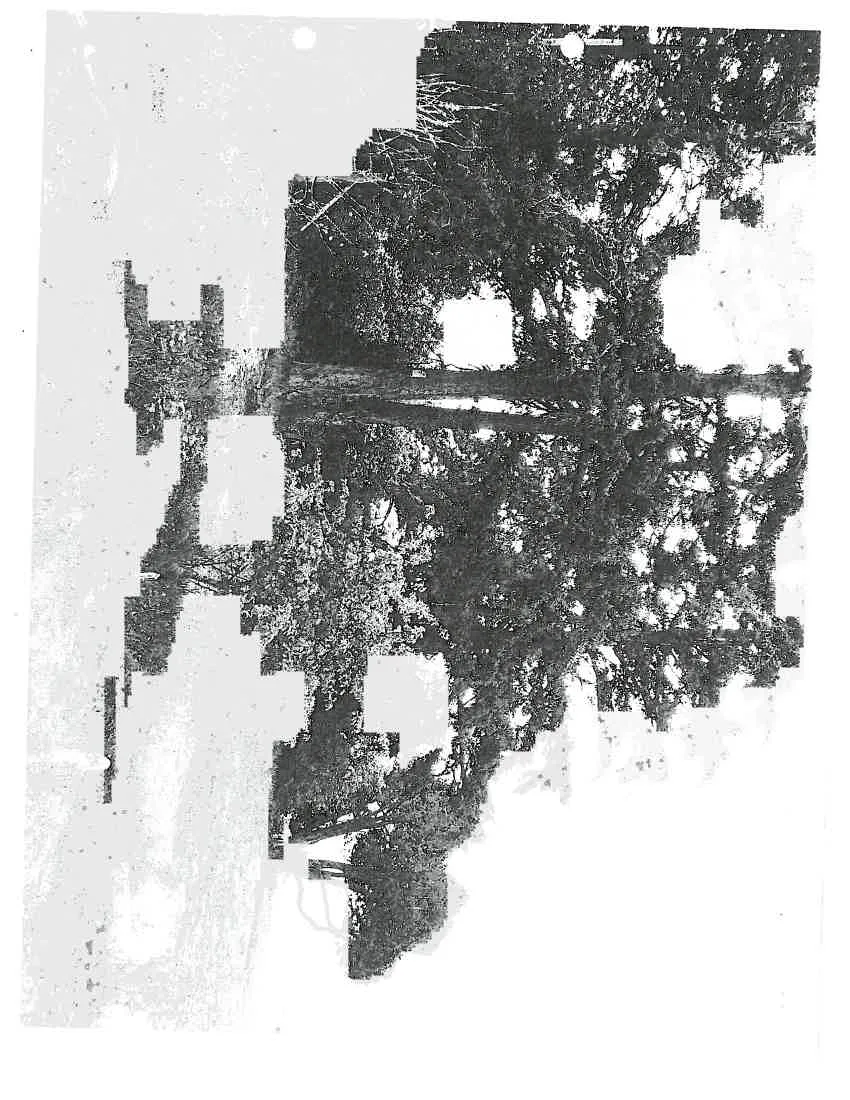 Photo of the property yard looking toward the shoreline