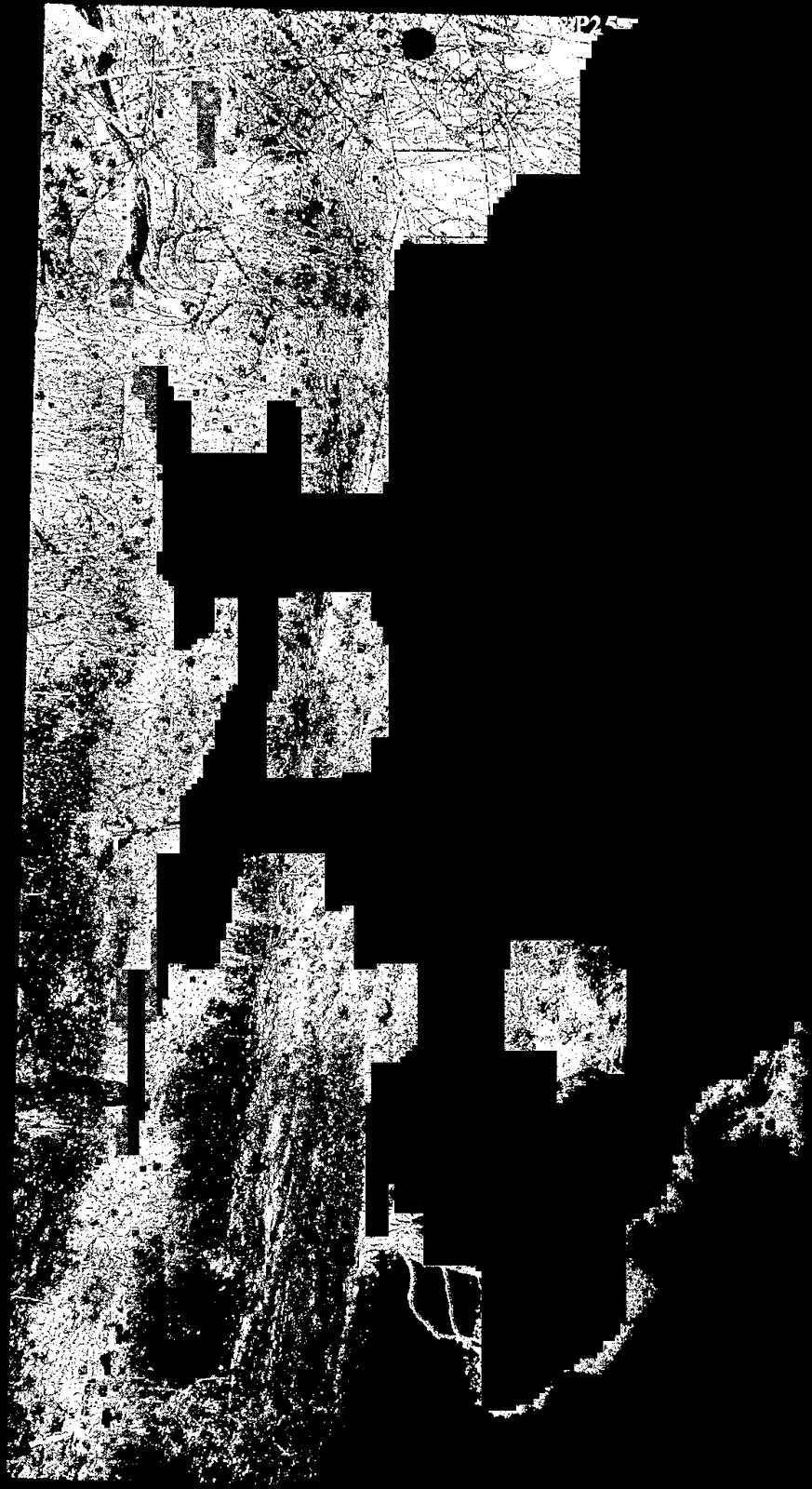 High-contrast rendering of the shoreline view photo