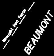 Detail of survey map showing property line labels for Beaumont Avenue and a wrought iron fence