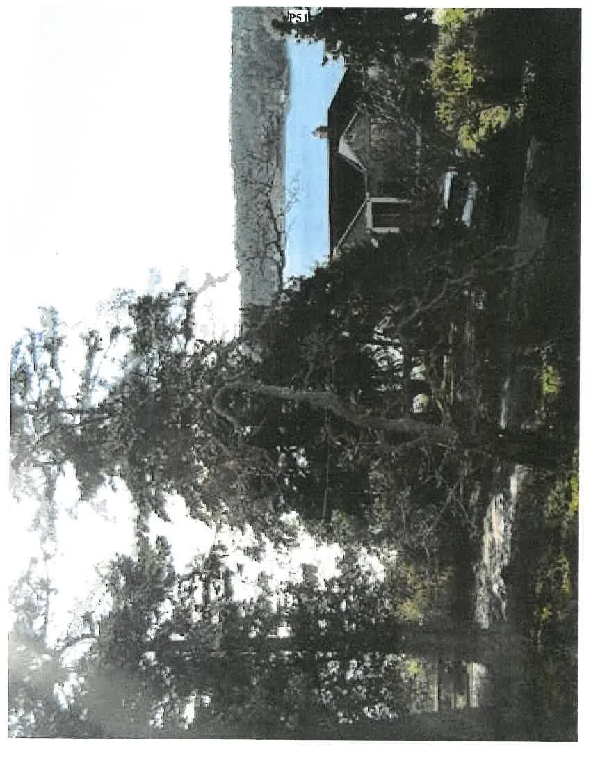 Photograph looking through large coniferous trees toward a residential building and the shoreline